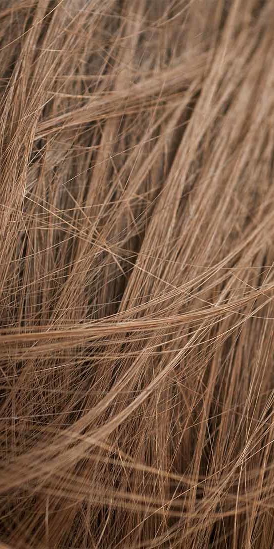 A close up of the hair on someones head