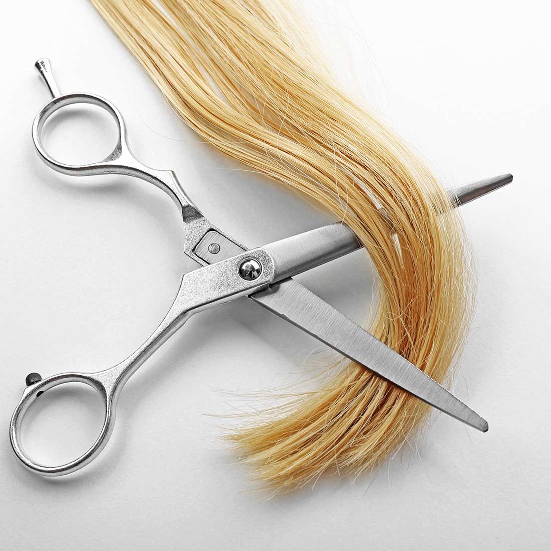 A pair of scissors is cutting the ends off of blonde hair.